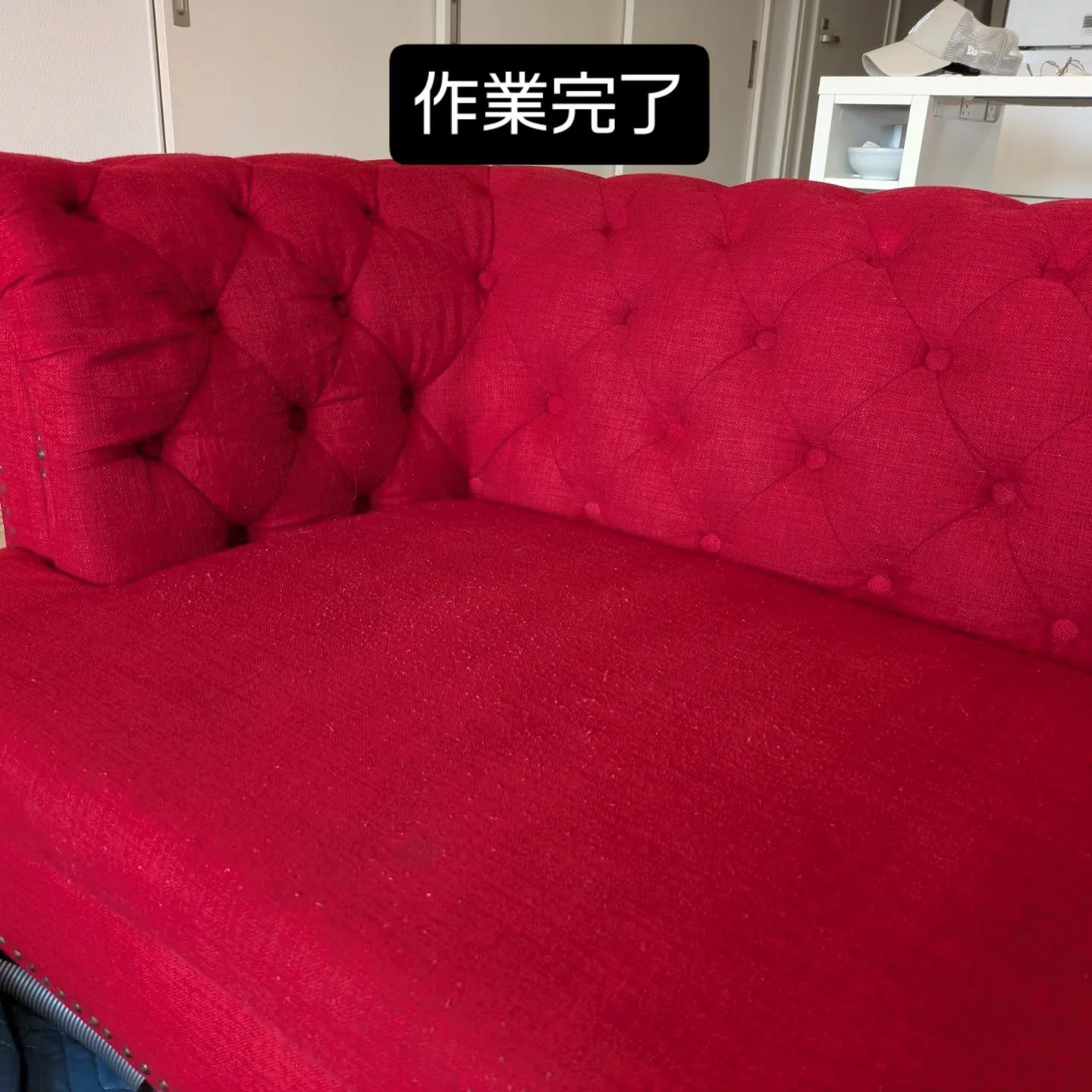 ソファークリーニング