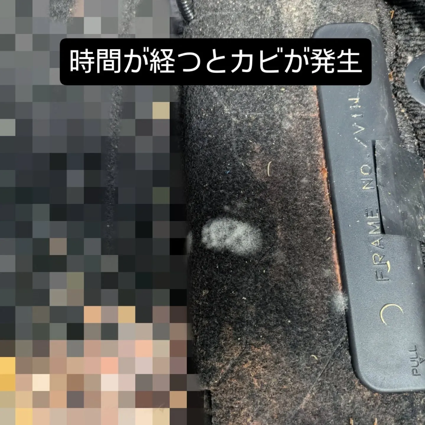 車内クリーニング