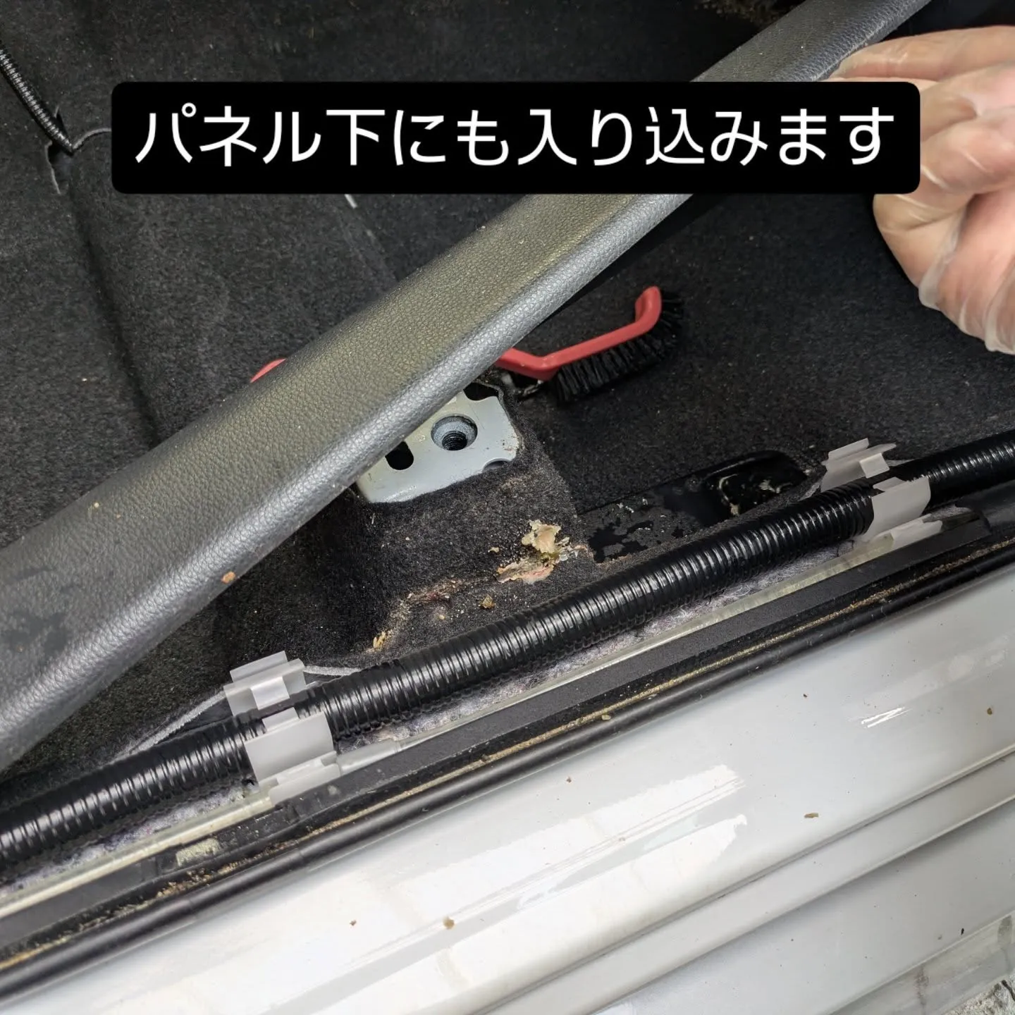 車内クリーニング