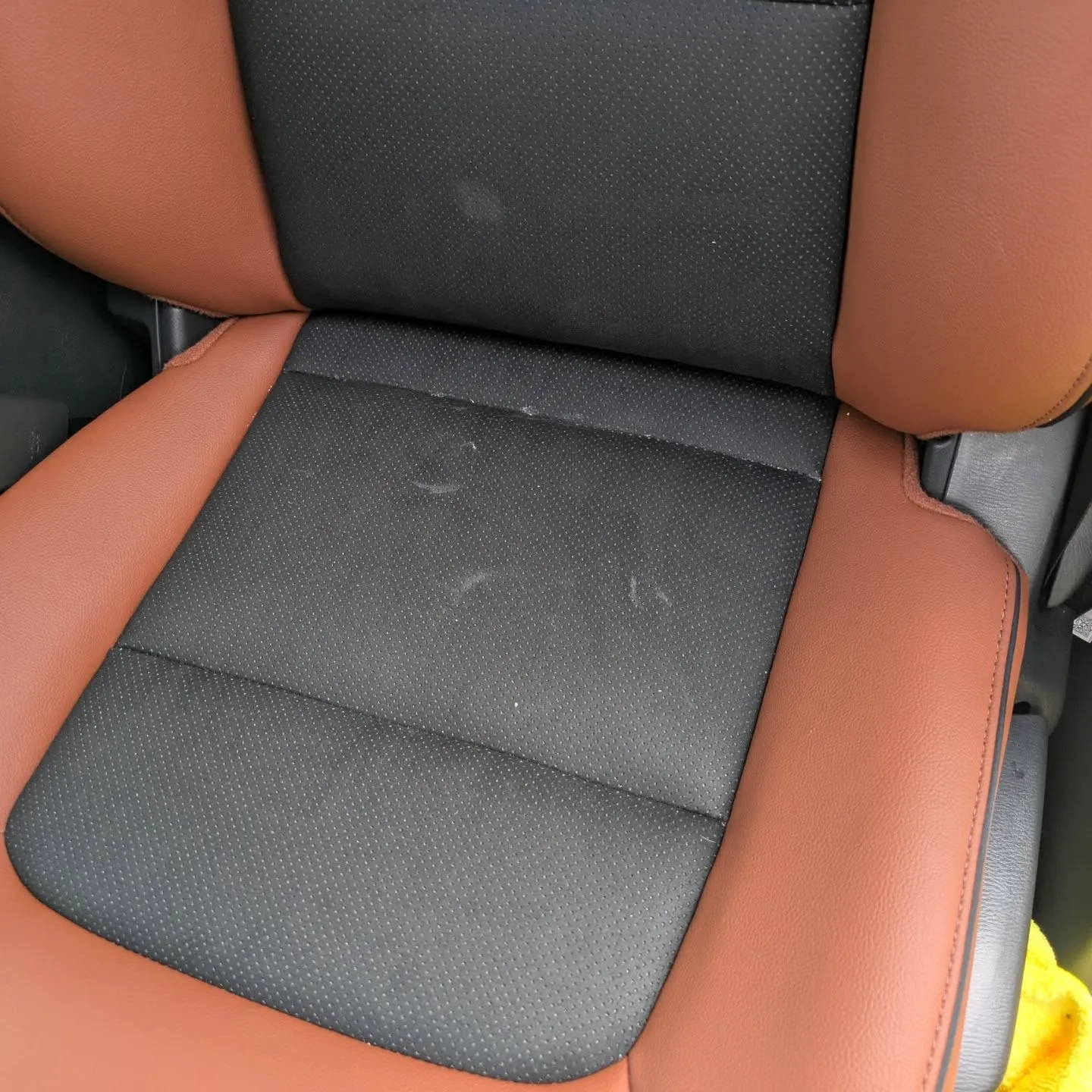 シートクリーニング