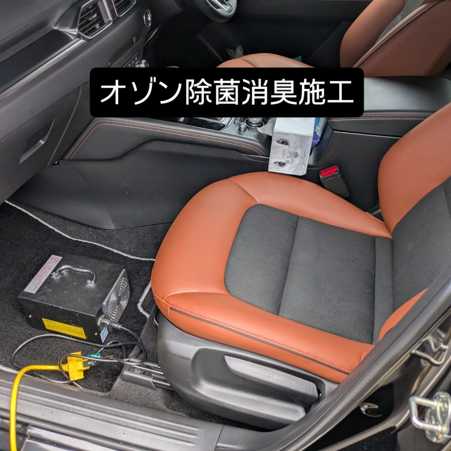 シートクリーニング