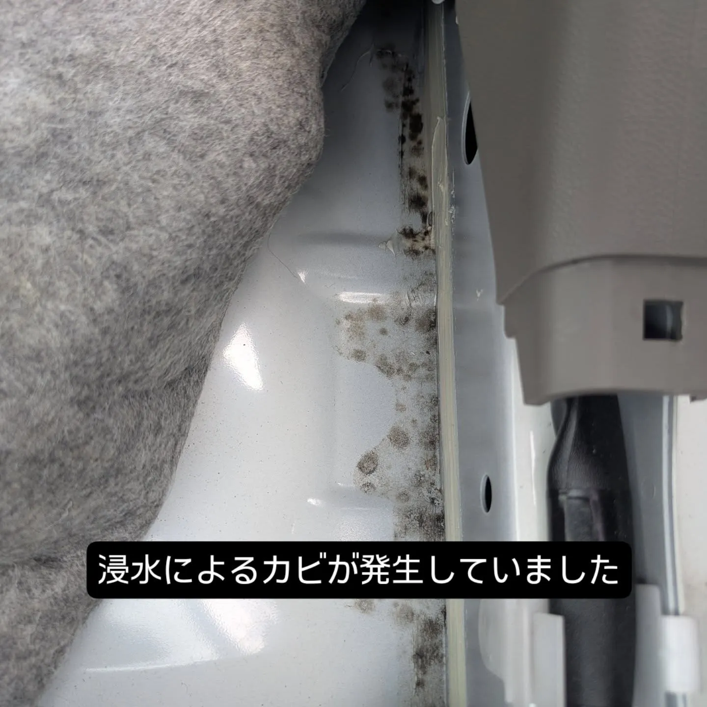 車内クリーニング