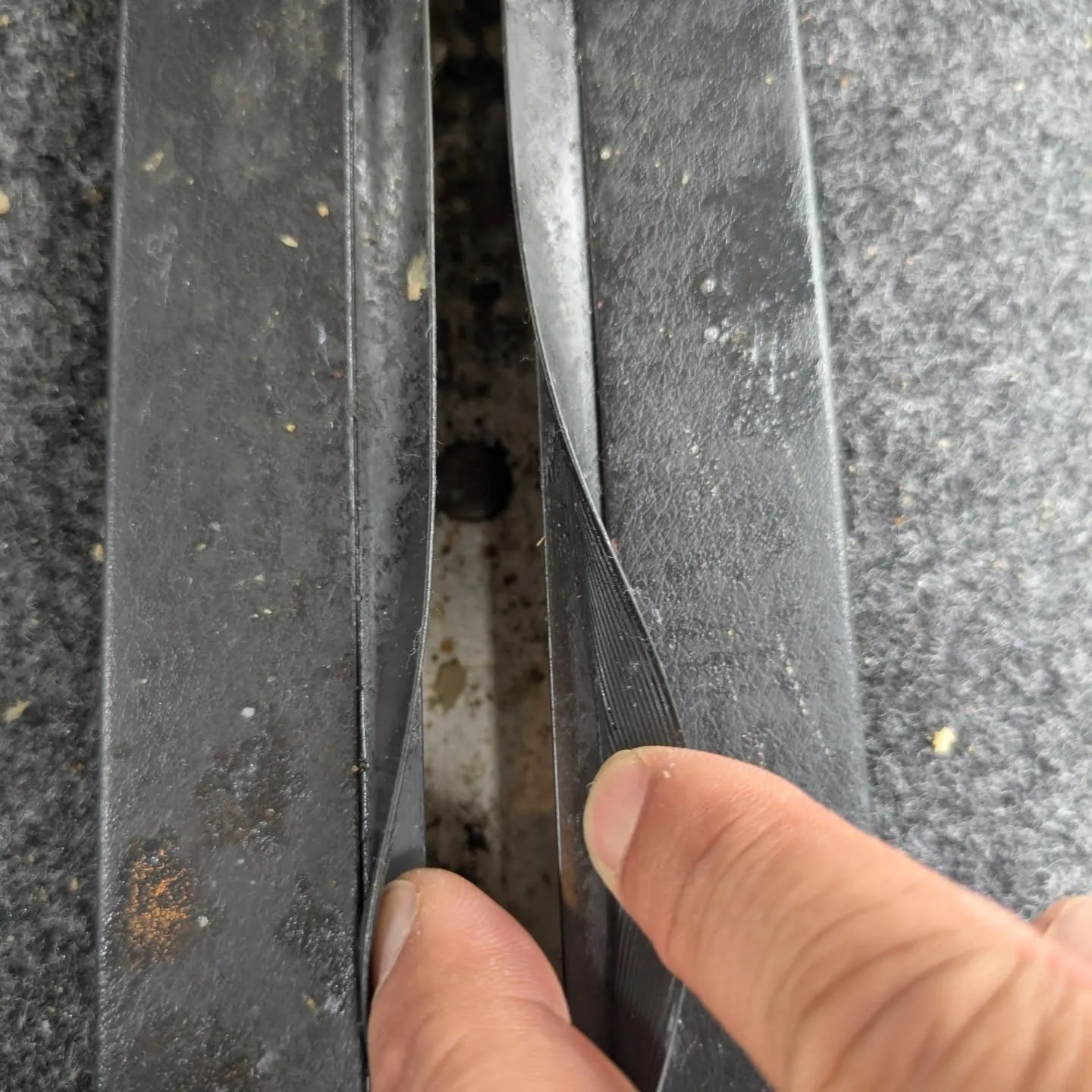 シートクリーニング