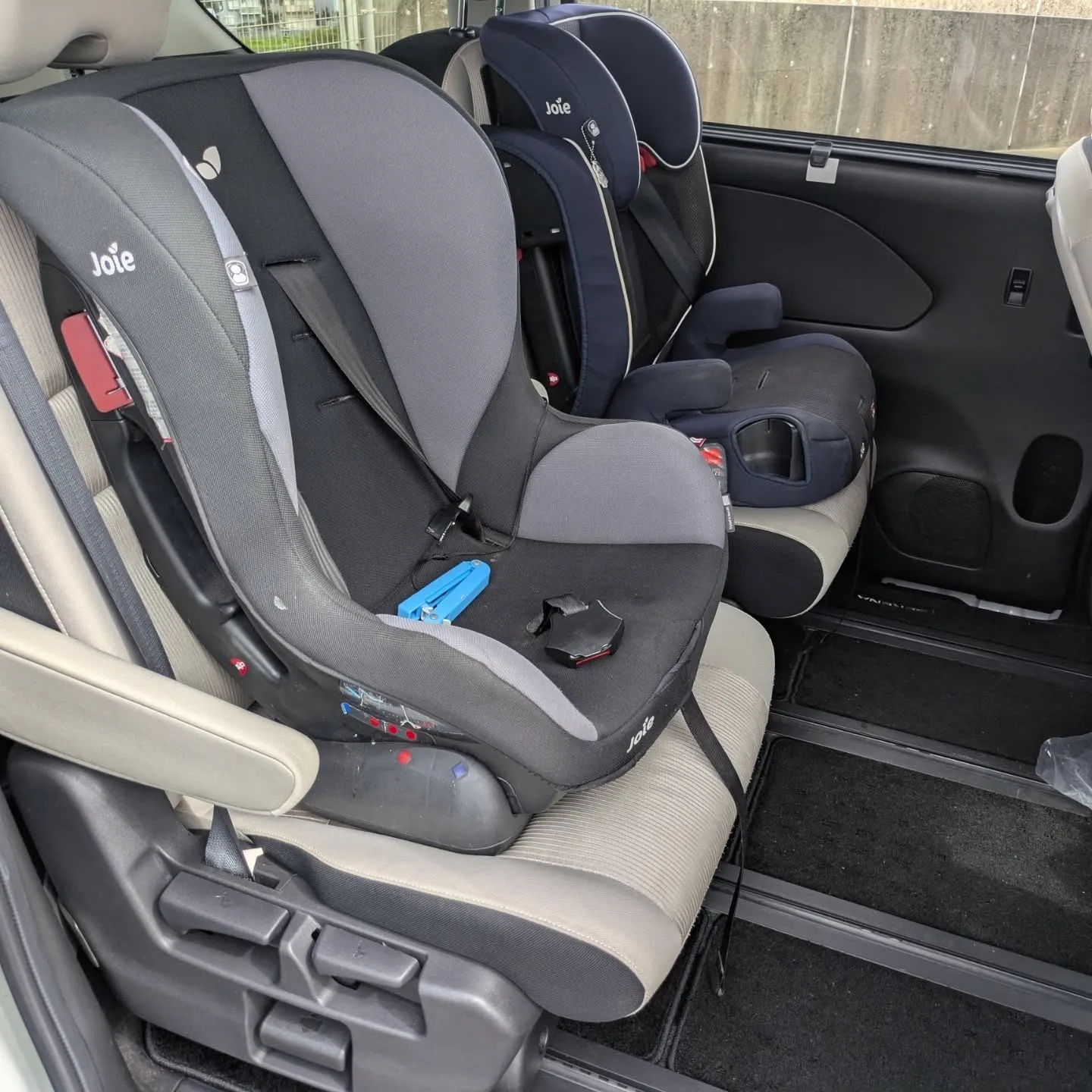 シートクリーニング