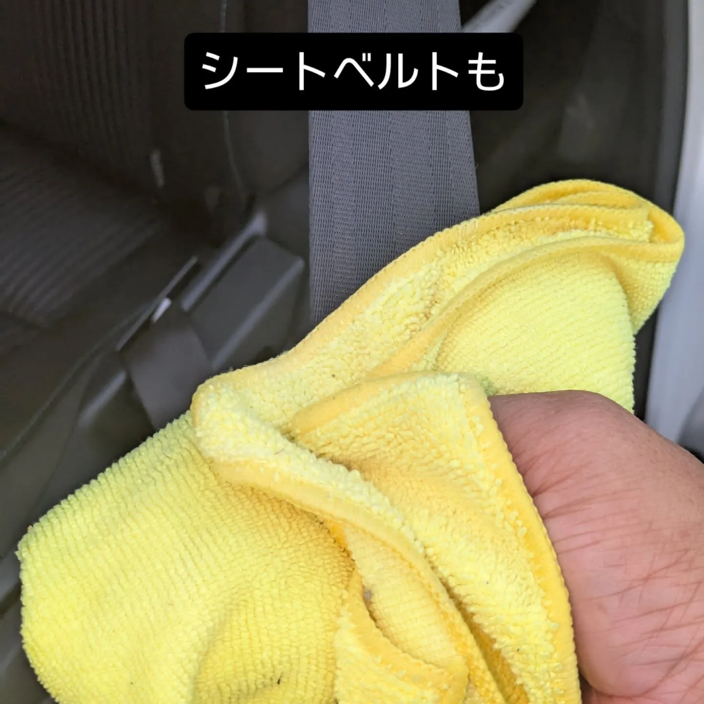 シートクリーニング