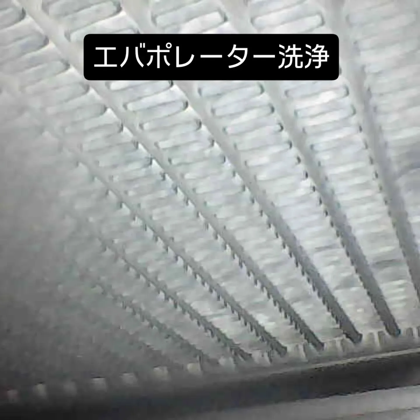 カーエアコンクリーニング