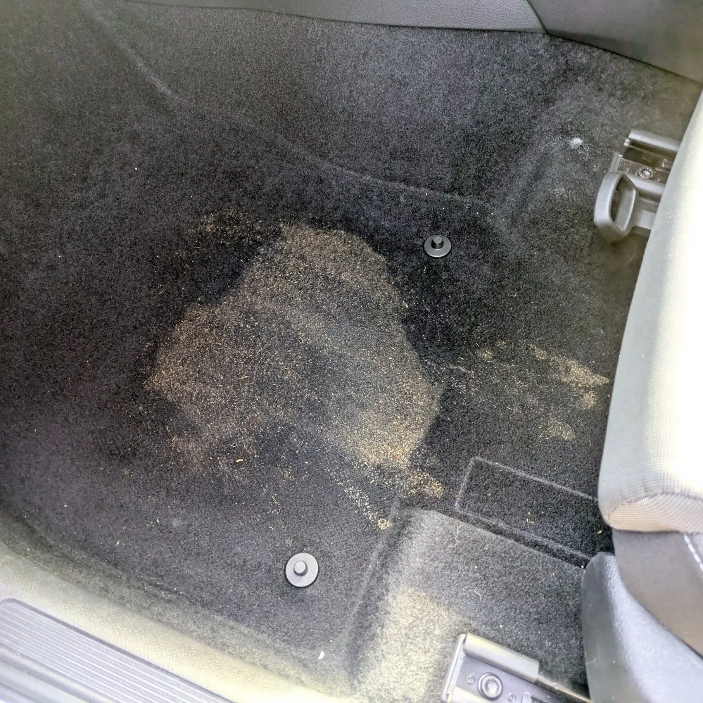 シートクリーニング