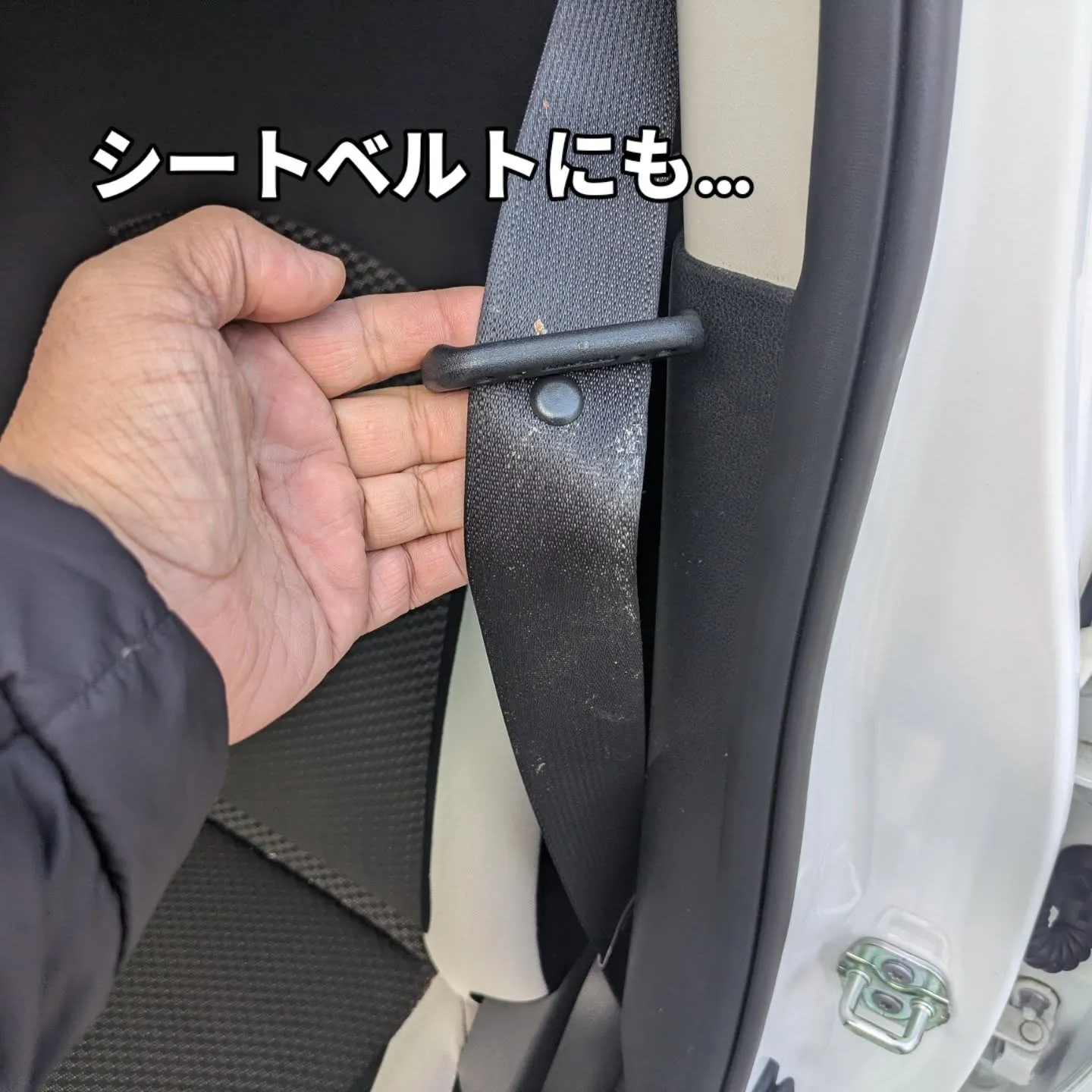 シートクリーニング