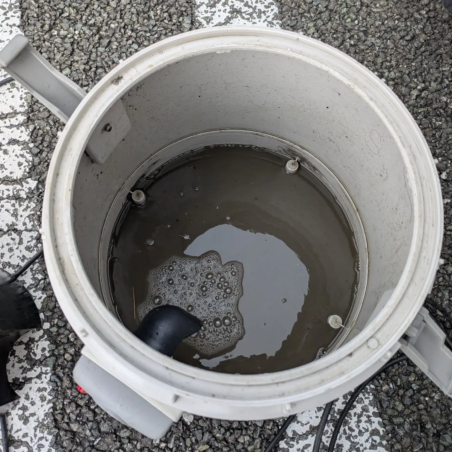 車内クリーニング