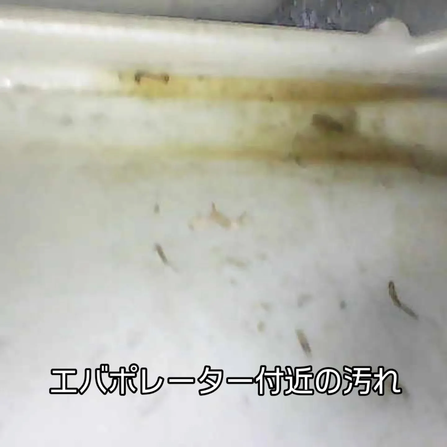 カーエアコンクリーニング