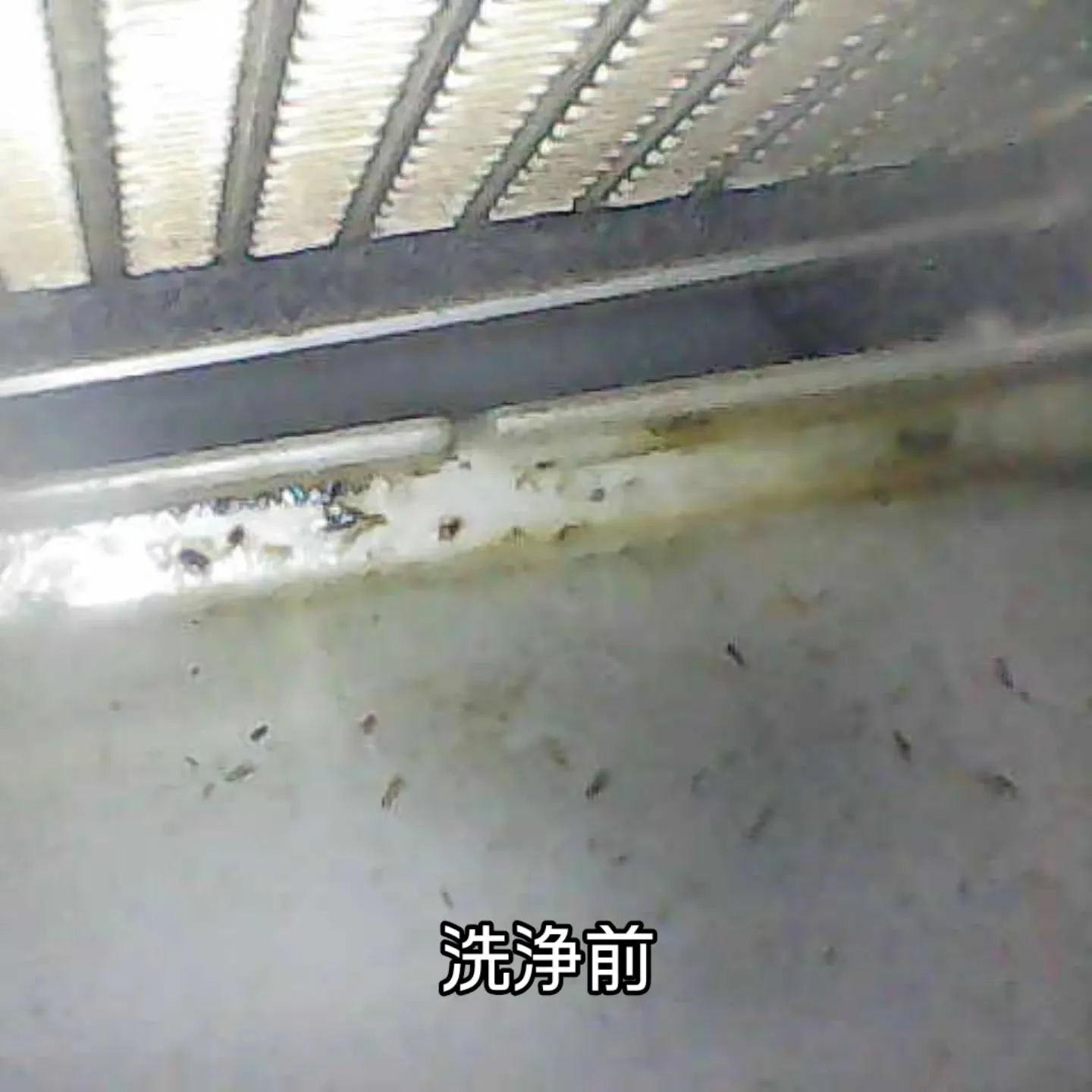 カーエアコンクリーニング