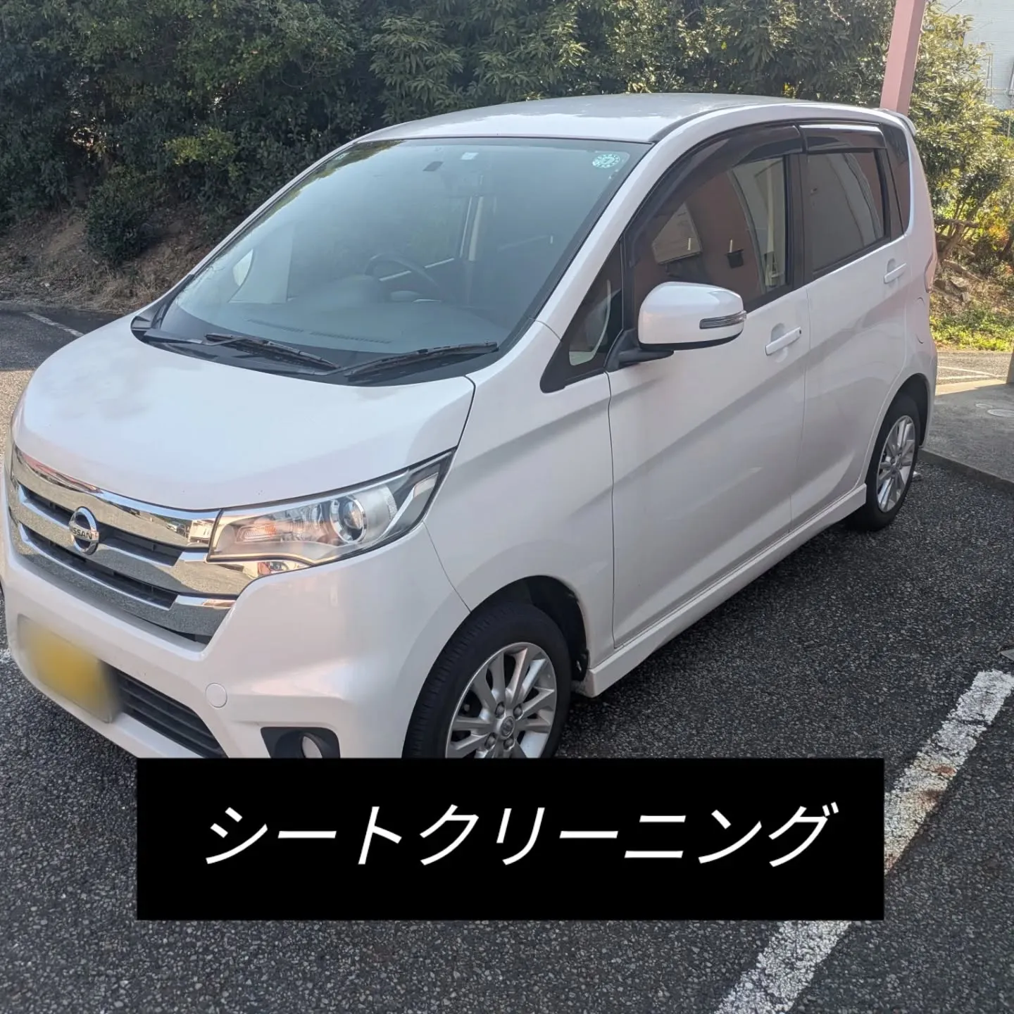 シートクリーニング