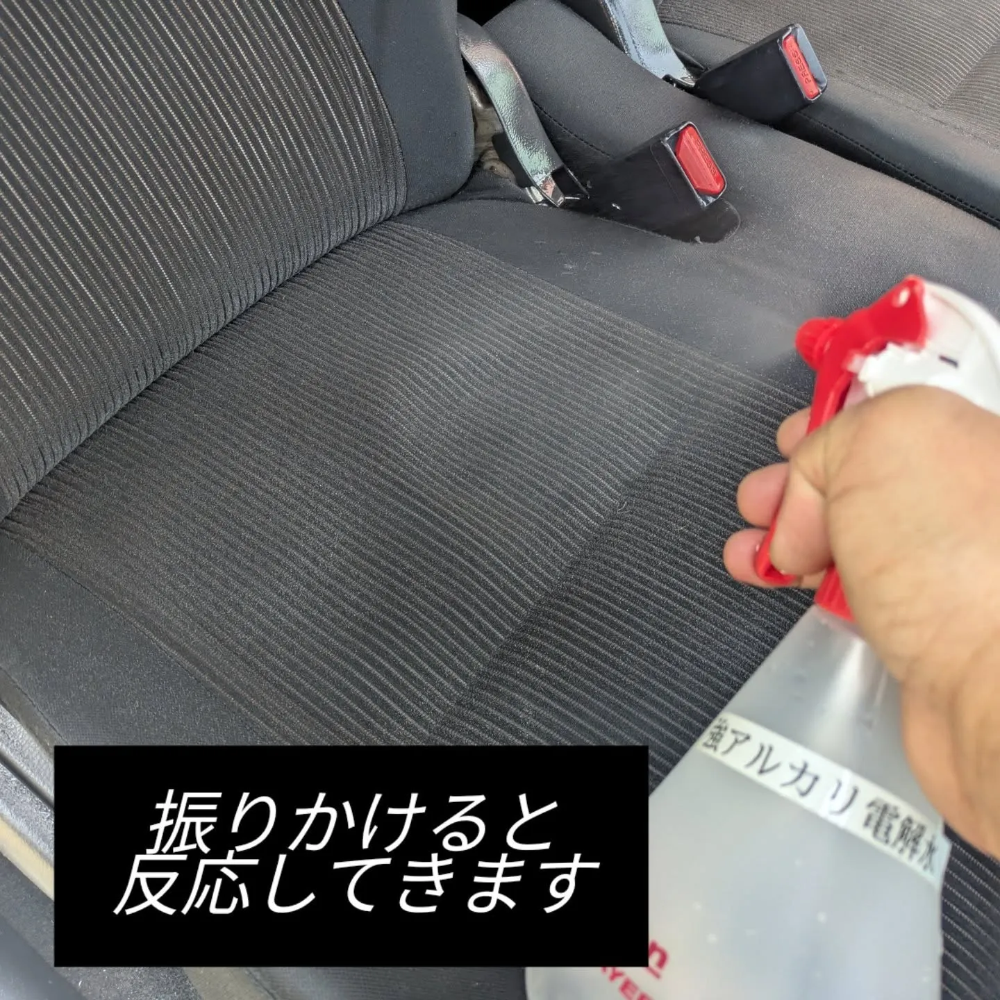 シートクリーニング