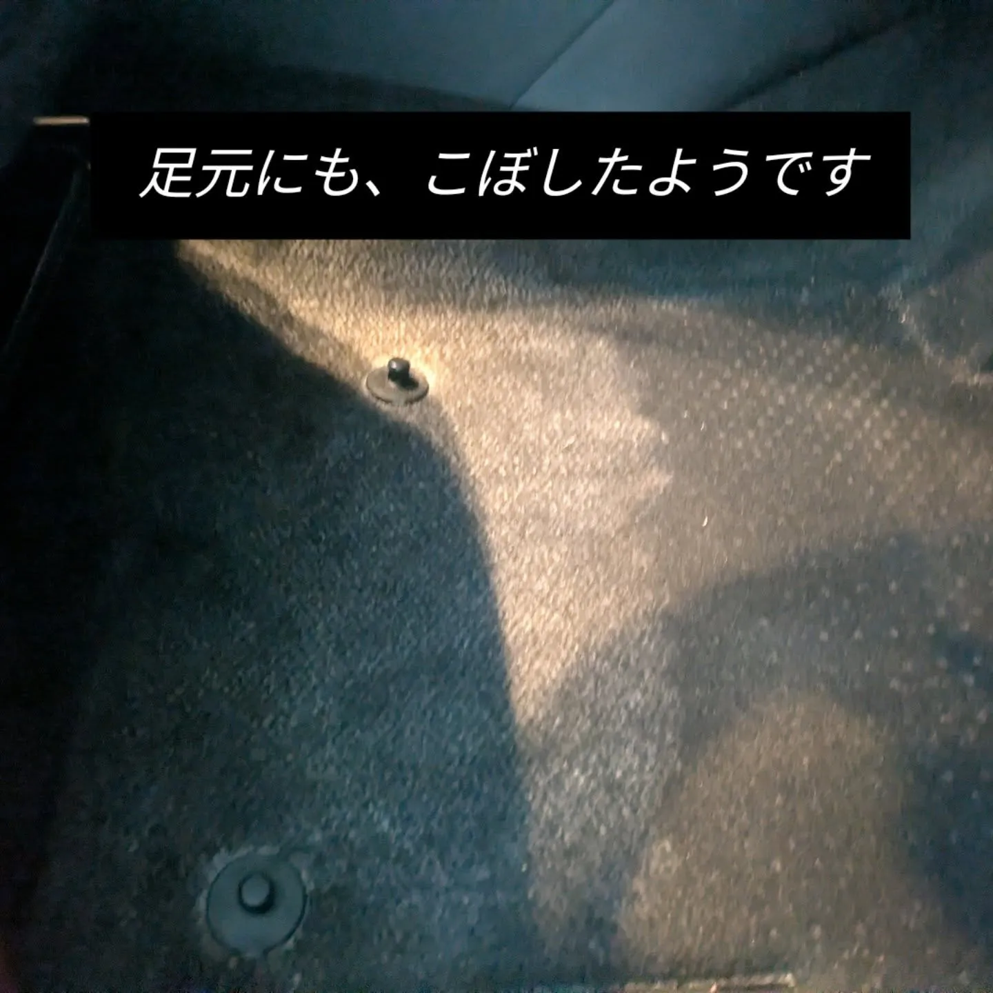 シートクリーニング