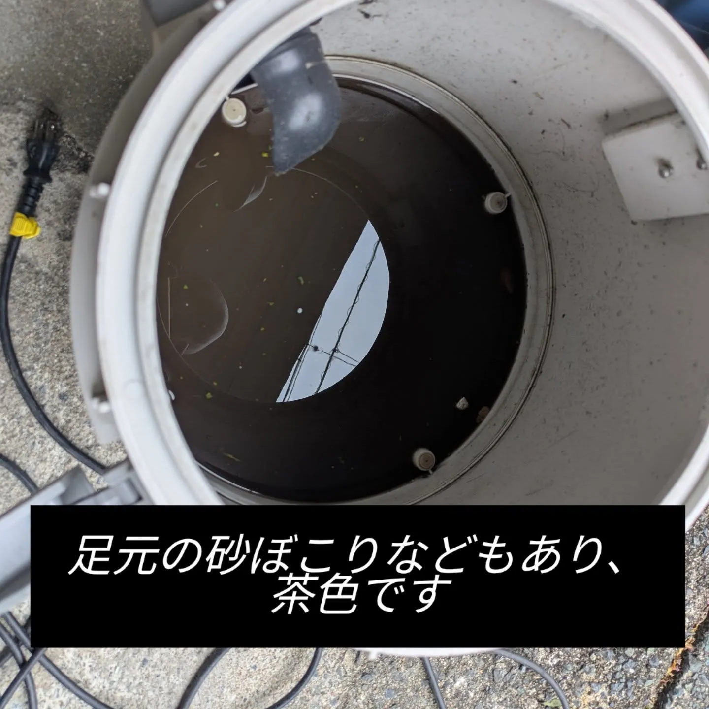 シートクリーニング