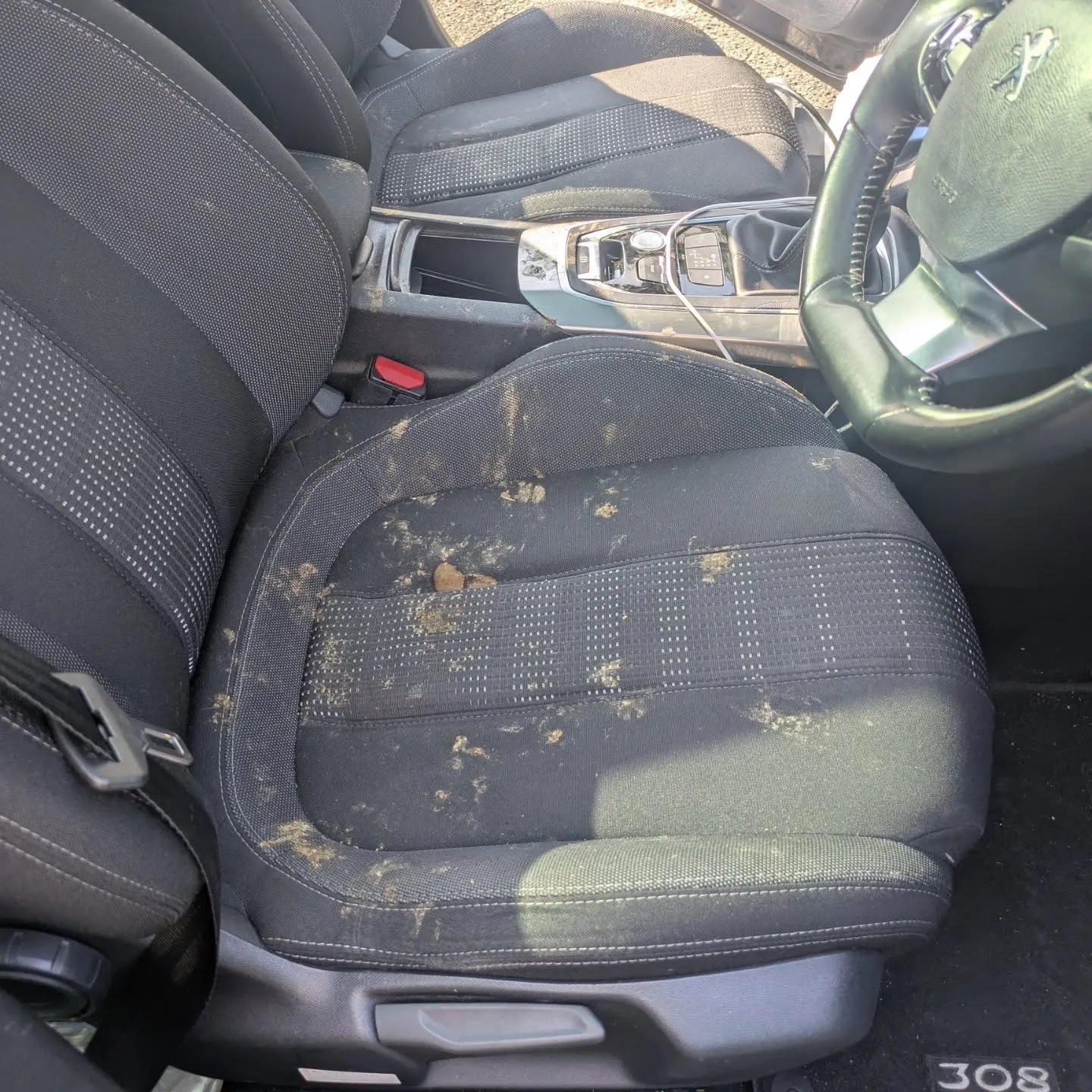 車内クリーニング