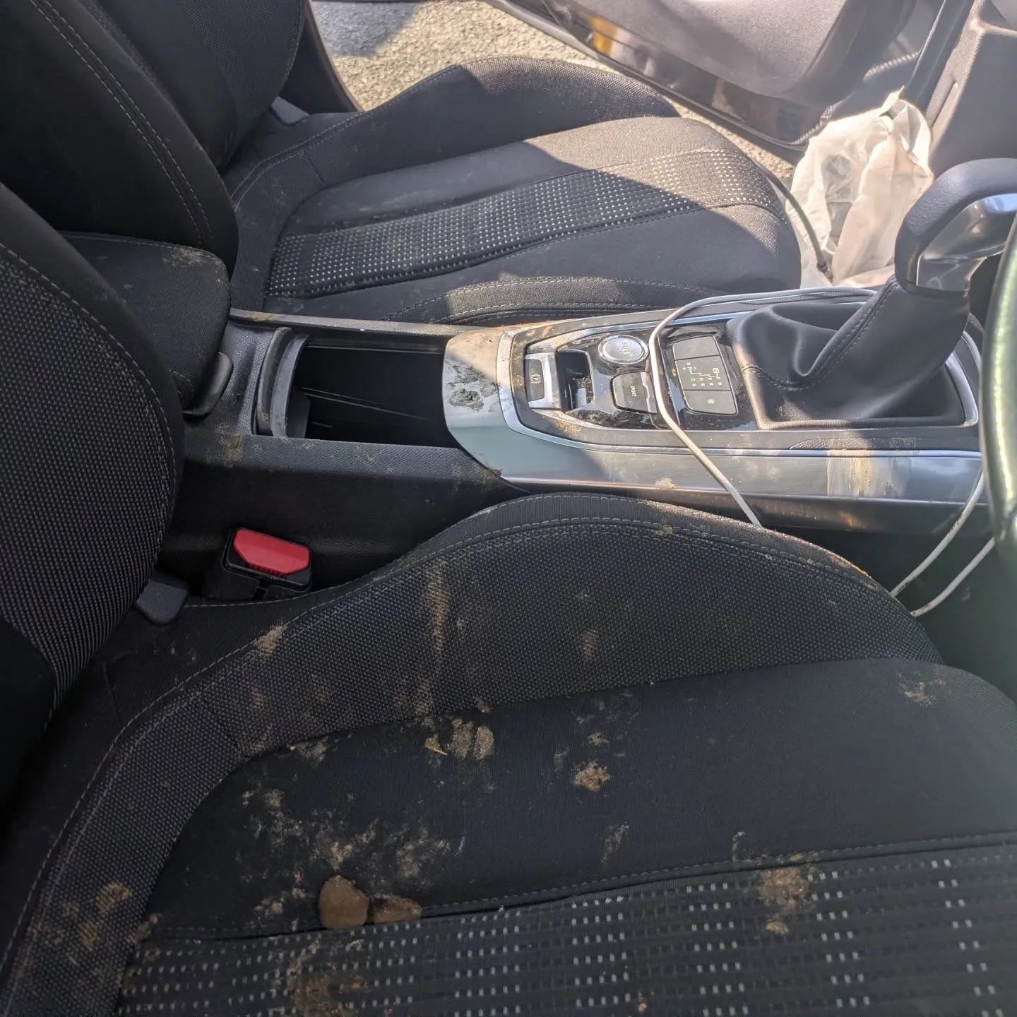 車内クリーニング