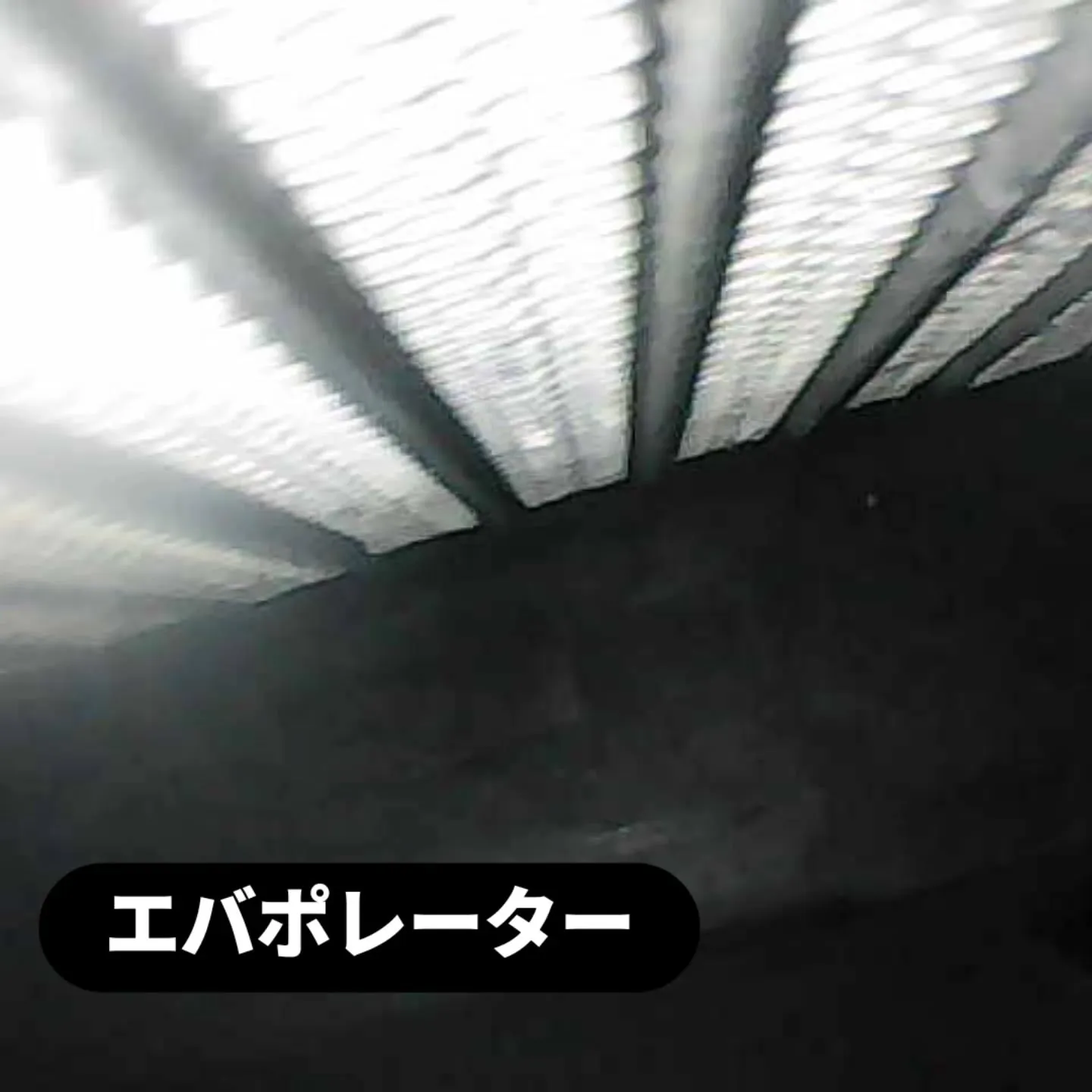 20260617121058_0_3.jpg
